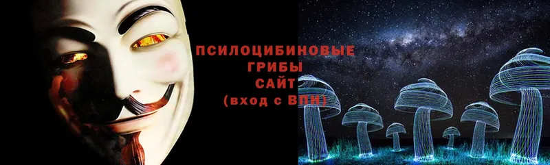 Галлюциногенные грибы Cubensis Полтавская